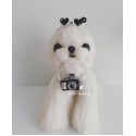 ハイブランド シャネル ペット用品 ペット ヘアバレッタ 個性な眼鏡型 chanel 絶妙な ペットヘア飾り かわいい 犬用フレンチスタイル ドッグのヘアピン 犬のアクセサリー 3色 2スタイル 