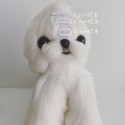 chanel ハイブランド シャネル 犬 用品 ヘアピン ドッグ用バレッタ 蝶結び付き ペットの髪飾り キュート りぼん 少女感 ペット アクセサリー ハンドメイド 高品質 かわいい
