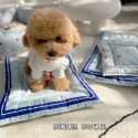 GG 犬 マット ブランド 犬 猫 敷きマット gg ペット用クッション 両面利用 可愛い ハイブランド犬用ベッドパッド ペットハウス 通年使える 通気性 快適 柔らかい 滑りにくい 清潔キープ S/M/L