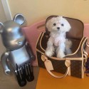 gucci ルイヴィトン ペット用品 犬お出かけ用ギャリーバッグ ブランド LV ペット用キャリーバッグ 手提げバッグ 通気性メッシュ付き 中・大型猫用・小型犬・うさぎ用 定番柄 変形しない 通気性 臭気がない ペットギャリー 革バッグ 5kg耐荷重