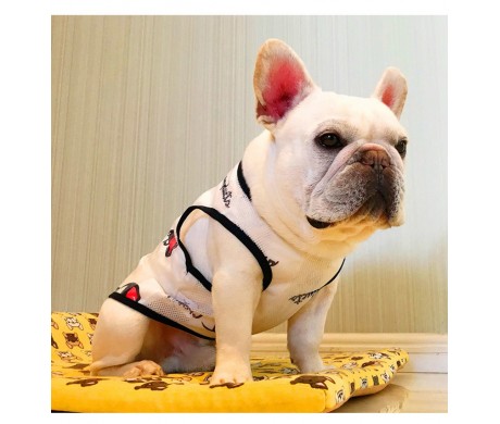 チャンピオン 犬の夏ウェア グッチ 中大型犬tシャツ ルイヴィトン ペット用バンダナ