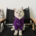 CHAMPION ブランド 犬服 わんちゃんのスウェットシャツ チャンピオン 猫パーカー 厚い 秋冬パーカー 帽子付き 柔らかい 暖かい かわいい プルオーバー 防寒コート 中小型ペット洋服 S~2XL