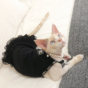 ブランド シャネル ペット服 猫 服 春 夏 レースワンピース CHANEL 可愛い 猫服 スカート 涼しい 超小型犬 小型犬 子犬 おしゃれ 女の子洋服 猫ウェア 無毛猫の服 ドレス 写真撮影 日焼け止め服 スフィンクス服 お散歩 エアコン服