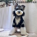 CHANEL ペット服 犬服 ブランド 犬の服 セーター シャネル 猫 ジャケット ニット 秋冬 洋服 ジャカード ドッグカーディガン 犬用セーター スーツ冬 秋冬服 洋服 猫の服 萌え 犬の服 かわいい  暖かい ドッグウエア S~2XL