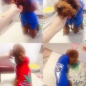 Supreme 犬 洋服 ブランド ペット服 パロディ パーカー 春秋 スウェット 犬用 シュプリームパーカー ドッグウェア 英字柄 フード付き 可愛い 柔らかい ファッション 小中型犬服 猫服 ペット用品 脱毛保護 お散歩 お出かけ