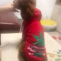 Supreme 犬 洋服 ブランド ペット服 パロディ パーカー 春秋 スウェット 犬用 シュプリームパーカー ドッグウェア 英字柄 フード付き 可愛い 柔らかい ファッション 小中型犬服 猫服 ペット用品 脱毛保護 お散歩 お出かけ