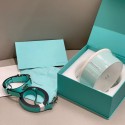 ハイブランド Tiffany ペットグッズ 犬用品 ドッグ 首輪 リード 2点セット ティファニー ペット用首輪 猫の牽引ロープセット 気質のある 犬グッズ 上質レザー お出かけ用 超高品質 ファッション 