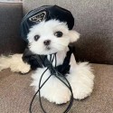 Prada ブランド ペット服 犬用スカート 小型犬 ワンピース プラダ ペット洋服 かわいい 中小型犬の黒色ドレス ベレー帽付き 2点セット 誕生日会 三角金属ロゴ付き 高級感 おしゃお 祝い 犬服 プレゼント 激安 XS~2XL