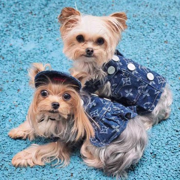 ブランド ルイヴィトン ペット洋服 LV...