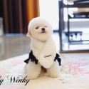 ブランド Chanel ペット服 犬の洋服 ワンピース シャネル 犬猫 ドレスアップ かわいい 猫服 ツバキ柄 蝶結び付き お姫様風 犬のスカート お出かけ着 ブラック 暖かい 使い心地よい XS~XL