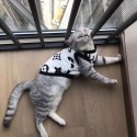 lv ハイブランド ペット服 ルイヴィトン 犬の服 秋冬 もこもこ服 tシャツ 猫服 フランネル パーカー 暖かい ノースリーブシャツ 防寒ウェア 子犬服 柔らか ふわふわ 可愛い ペット洋服 XS~XL