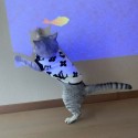 lv ハイブランド ペット服 ルイヴィトン 犬の服 秋冬 もこもこ服 tシャツ 猫服 フランネル パーカー 暖かい ノースリーブシャツ 防寒ウェア 子犬服 柔らか ふわふわ 可愛い ペット洋服 XS~XL