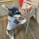 カウズドッグウェア 犬服 犬用ウェア ペットウェア KAWS ブランド 犬のベスト 猫 タンクトップ ノースリーブ 袖なし 綿Tシャツ 小型犬用 可愛い おしゃれ お散歩 刺繍ロゴ ネコ用 DOG わんちゃん用 通気性 ファッション 激安
