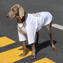 ブランドmlb ペットウェア 中大型犬服Ｔシャツ  犬トレーナー服 お散歩お出かけウェアに コットン春夏服 ドッグウェア 半袖シャツ 日焼き防ぐ 脱毛保護 ペット洋服 かわいい 韓国