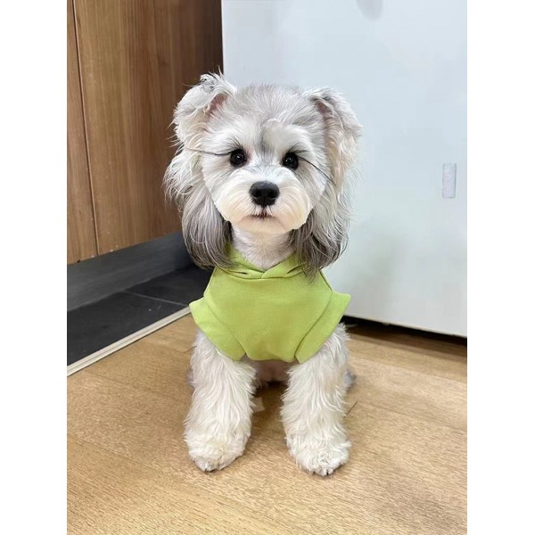 Celine セリール ブランド 犬服 tシャツ無袖 スウェット 子犬猫洋服 ベスト パーカー Tシャツ ペット服 ドッグウェア 秋冬服 プルオーバー 猫服 ベストシャツ 暖か 着心地よい 小中型ペット服 