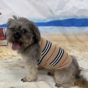 Burberry バーバリーブランドペット用服激安犬ウェア激安パロディブランド犬服春夏ブランド猫服ペット用