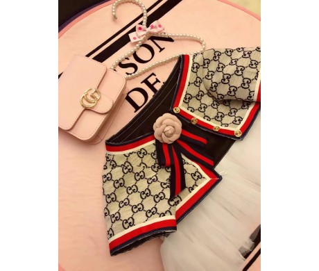 ブランド グッチ ロエベ 犬猫服 かわいい ルイヴィトンペット用キャリーバッグ