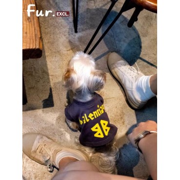 Balenciaga バレンシアガハイブ...