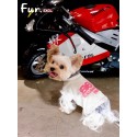 Balenciaga バレンシアガハイブランドペット服かわいいブランドペット用服激安ブランド犬服春夏ハイブランド犬の服かわいい