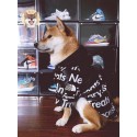 アディダス Adidas シュプリーム Supreme ザ・ノース・フェイス THE NORTH FACE ブランド犬服ペットウェアブランド犬用tシャツ通気性ブランド犬服春夏ハイブランド犬の服かわいい