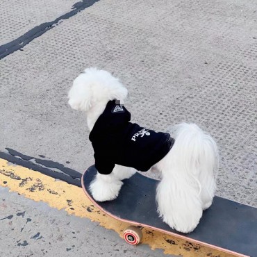 Prada プラダハイブランドペット服か...