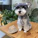 Gucci ルイヴィトン LV グッチ犬猫 帽子 ハンド髪飾り ヘアアクセサリーハイブランド猫 激安高品質のペット用 かわいいの小型ペット用