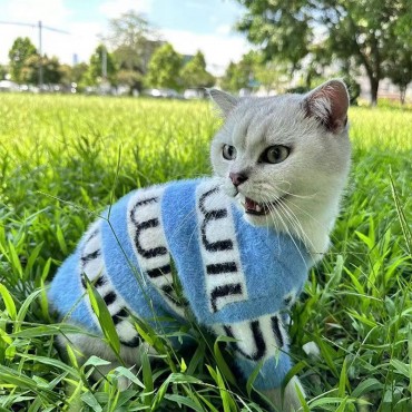 MiuMiu ミュウミュウ ブランド犬服...