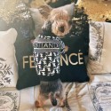 Dior ディオールハイブランドペット服かわいいペット洋服パロディブランド犬用tシャツ通気性ハイブランド犬の服かわいい