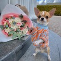 Fendi フェンディ犬ウェアブランドブランドペット用服激安ハイブランド犬の服かわいいブランド猫服ペット用