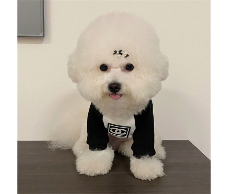 バーバリー犬服 防寒 Dior ペット牽引ロープセット バレンシアガ子供パーカーセット