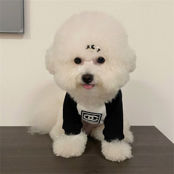 Chanel シャネルドッグ猫パーカーペット洋服パロディブランド犬用tシャツ通気性ブランド犬服春夏ハイブランド犬の服かわいい