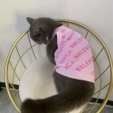 バレンシアガ Fendi フェンディ Balenciaga ハイブランドペット服ドッグウェア 犬の服犬ウェア激安パロディペット服秋冬暖かいブランド猫服ペット用服 トイプードル チワワ ダックス