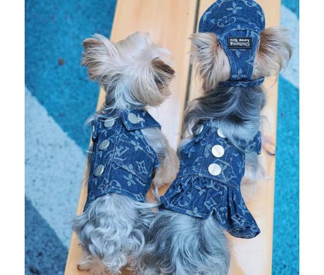 ブランドルイヴィトン ナイキペット洋服 かわいい ディオール犬洋牽引ロープ