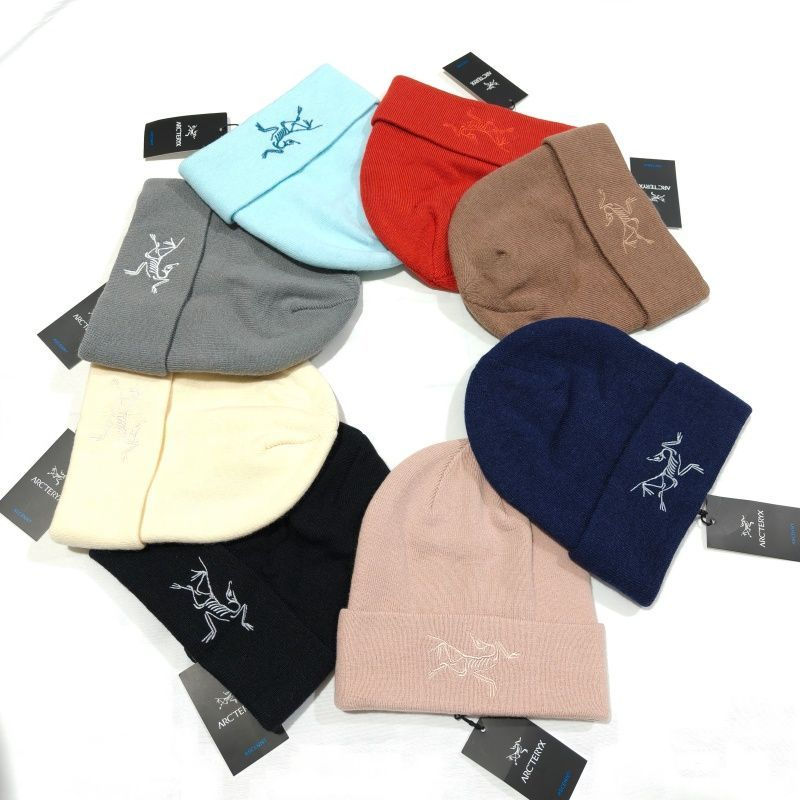 ARC'TERYX ビーニー ユニセックス