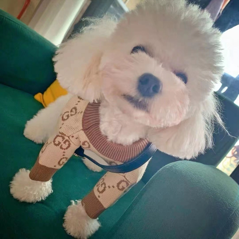 ggブランド暖かいペットセーター犬の服犬服猫服可愛い伸縮性