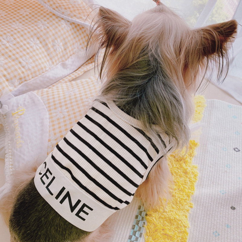 Celine 犬ベスト 流行りストライプ 個性 ファッション 快適 春秋服