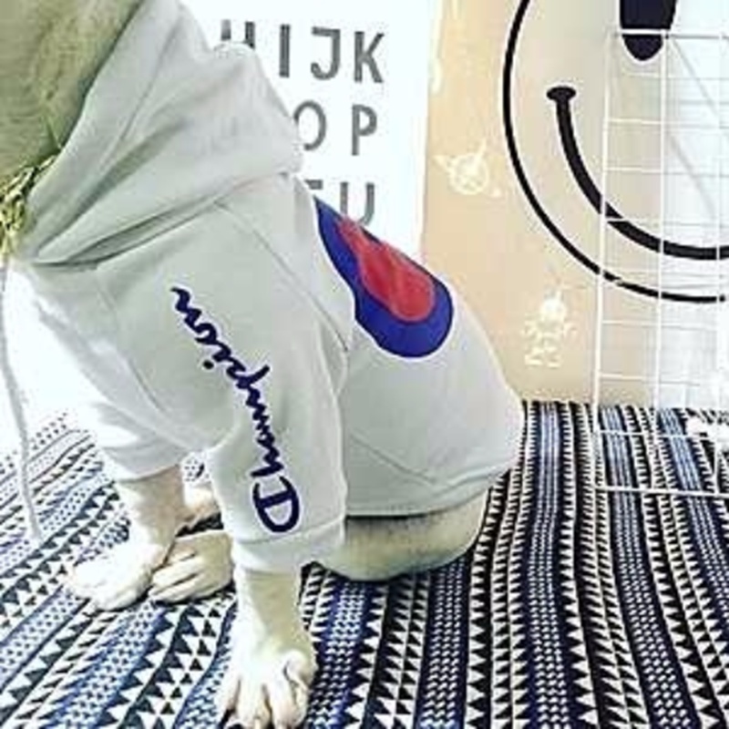 Championブランド犬服 tシャツ ブランド猫洋服 スウェット防寒 