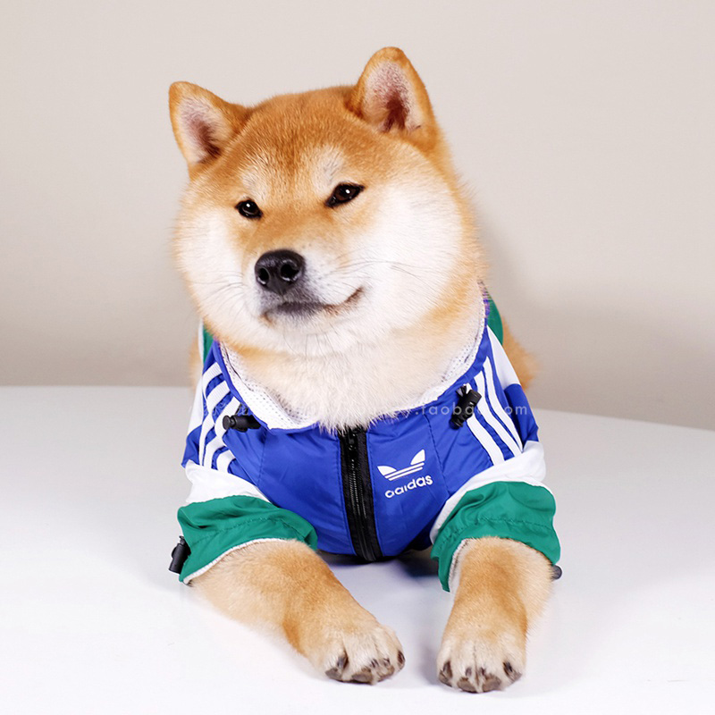  adidas 犬ジャケット 夜光服 中型犬 大型犬 防風防水 レインコート