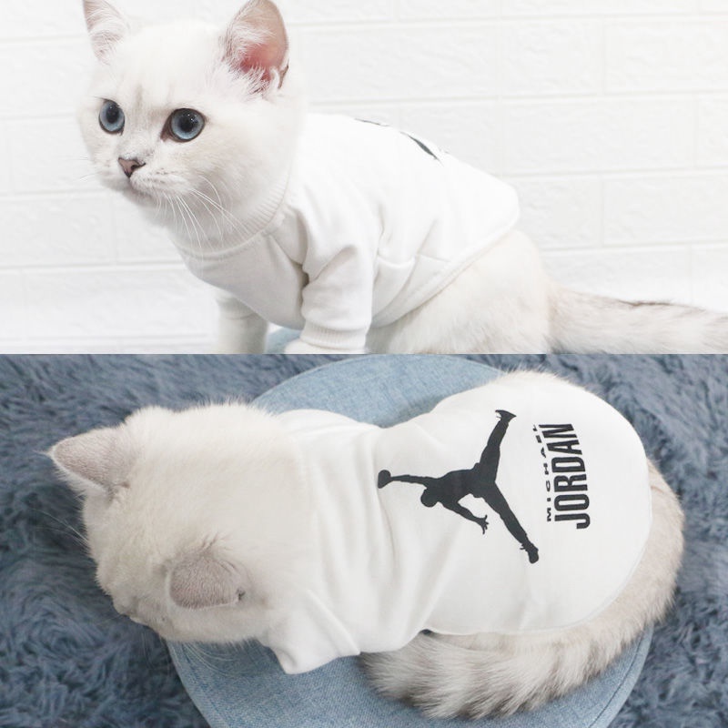 チャンピオン 猫の服 かわいい パーカー 高品質
