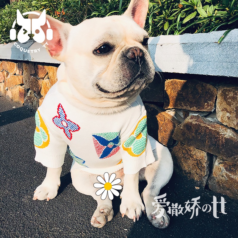 メンズ　春　ニット　犬