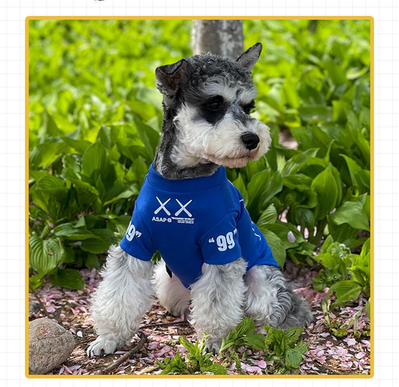 KAWS ペット服 春夏 tシャツ 小中型犬 猫服 仮装 ドッグウェア 