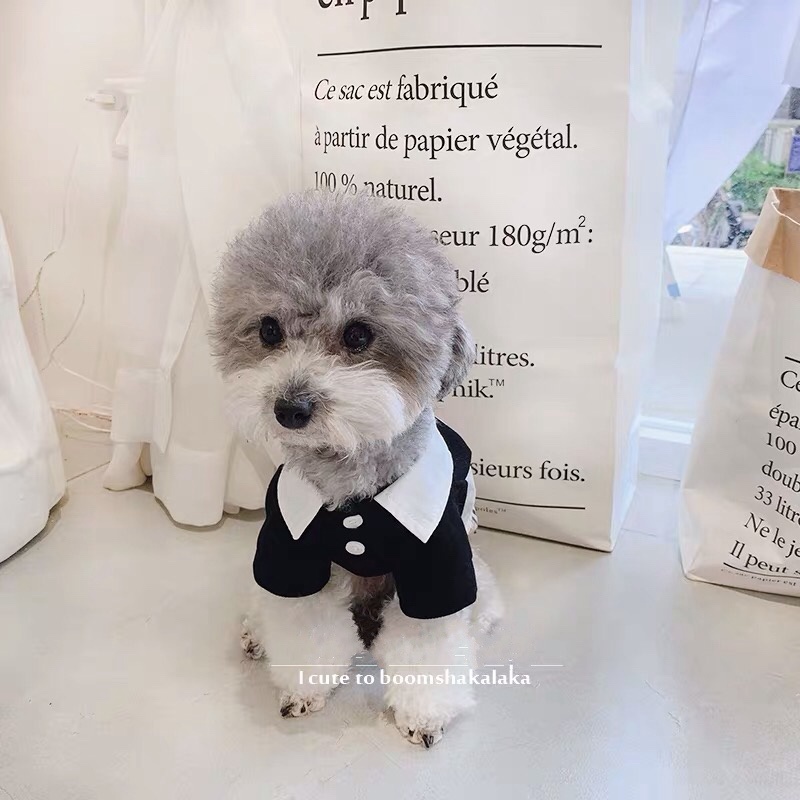 burberry 犬服 tシャツ ブランド洋服 パロディー ドッグウェア 可愛い burberry 犬服 tシャツ ブランド洋服 パロディー ドッグウェア 可愛い