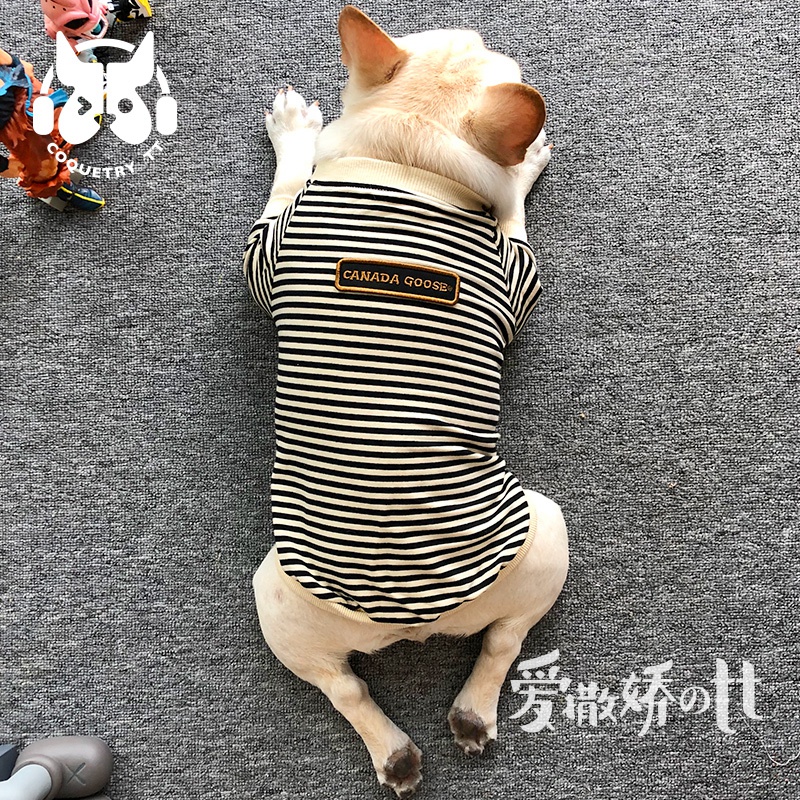 カナダガチョウ ブランド 犬服 tシャツ 猫パーカー 春秋シャツ