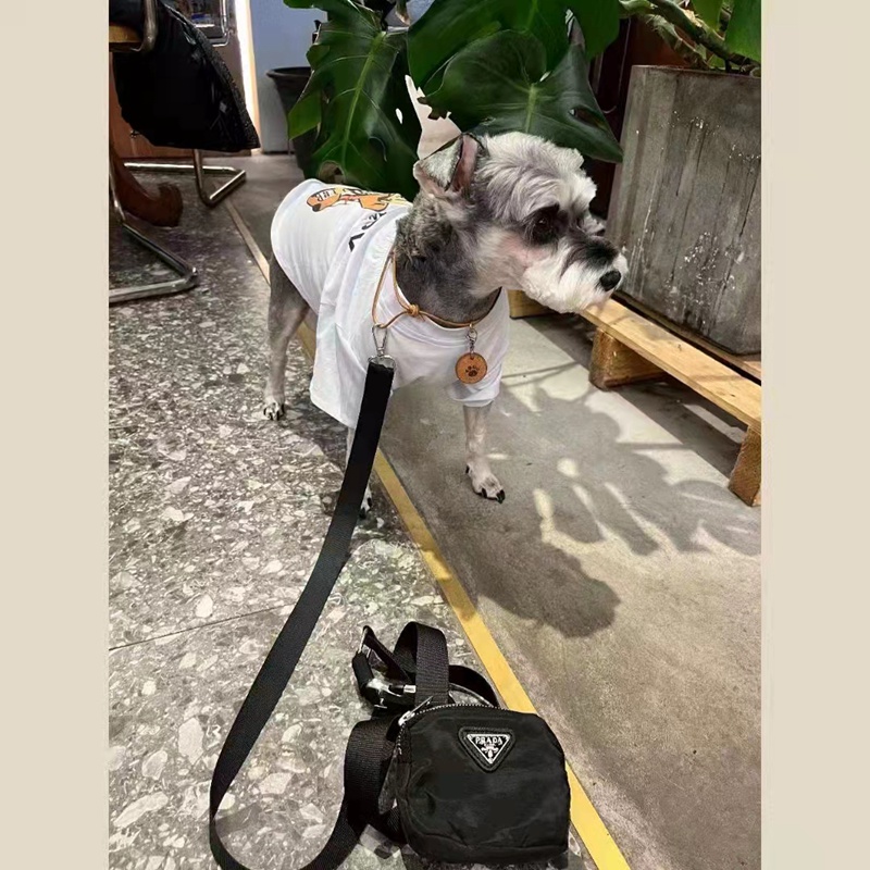 ブランド プラダ 犬 リード 犬用牽引ロープ 中型犬 