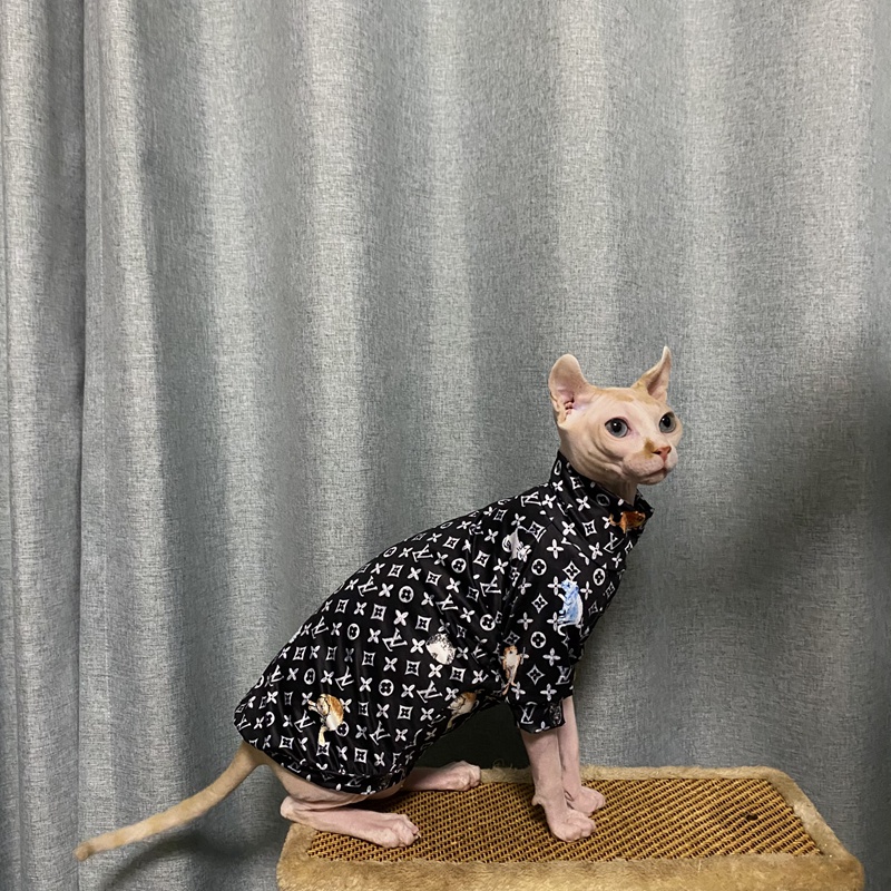 ルイヴィトン 猫の用品トレーナーシャツ 