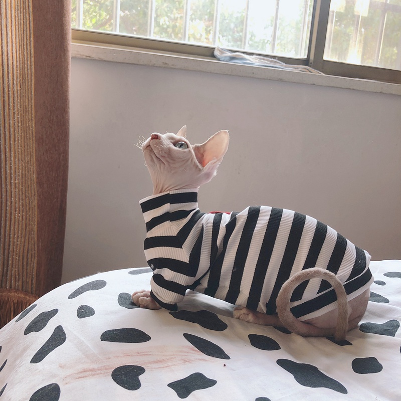 川久保玲 子犬服 tシャツ 無毛猫スフィンクスの服