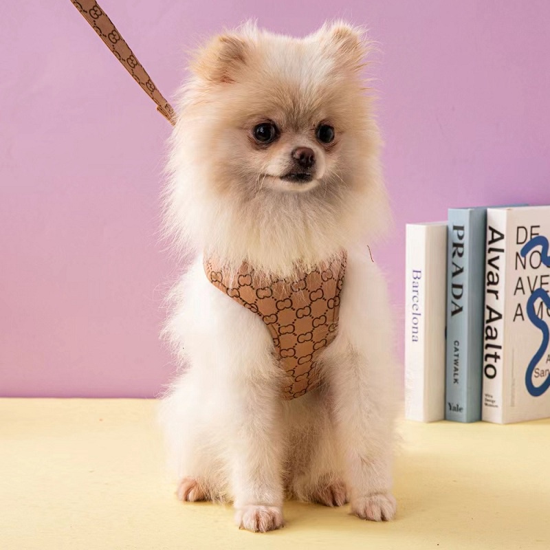 ブランド Dior ペット用品 犬 ハーネス リード 小中型犬 ルイヴィトン 牽引ロープ 2点セット 通気性 調節可 猫用 ベスト式 かわいい 犬用ハーネス 耐久性 子犬用 柔らかい 激安