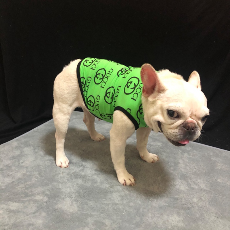 gG ペット用品 ブランド 犬Ｔシャツ