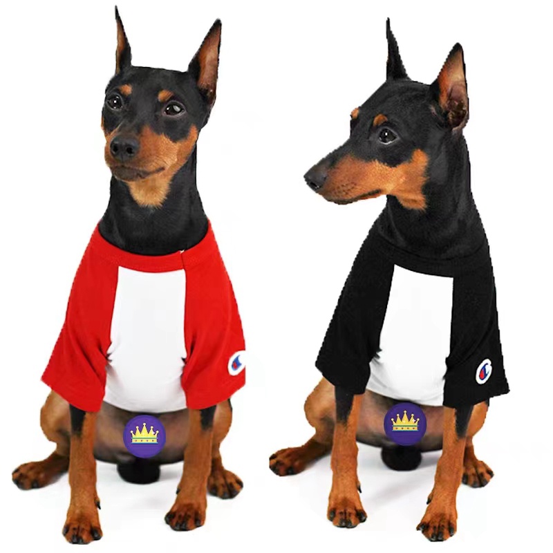 CHAMPION 犬のTシャツ ネコの半袖 