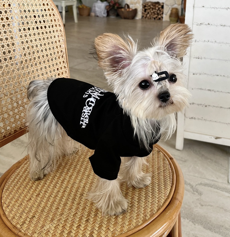 Maison Margiela メゾン マルジェラ 犬の服 Dog服